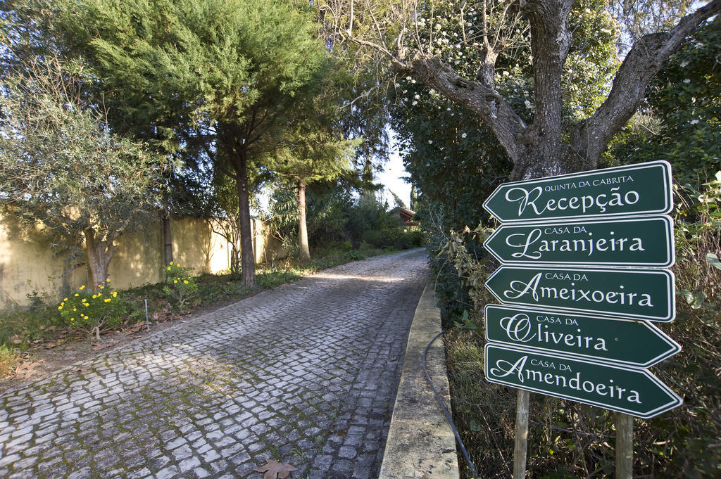 Villa Quinta Da Cabrita Santarém Exterior foto