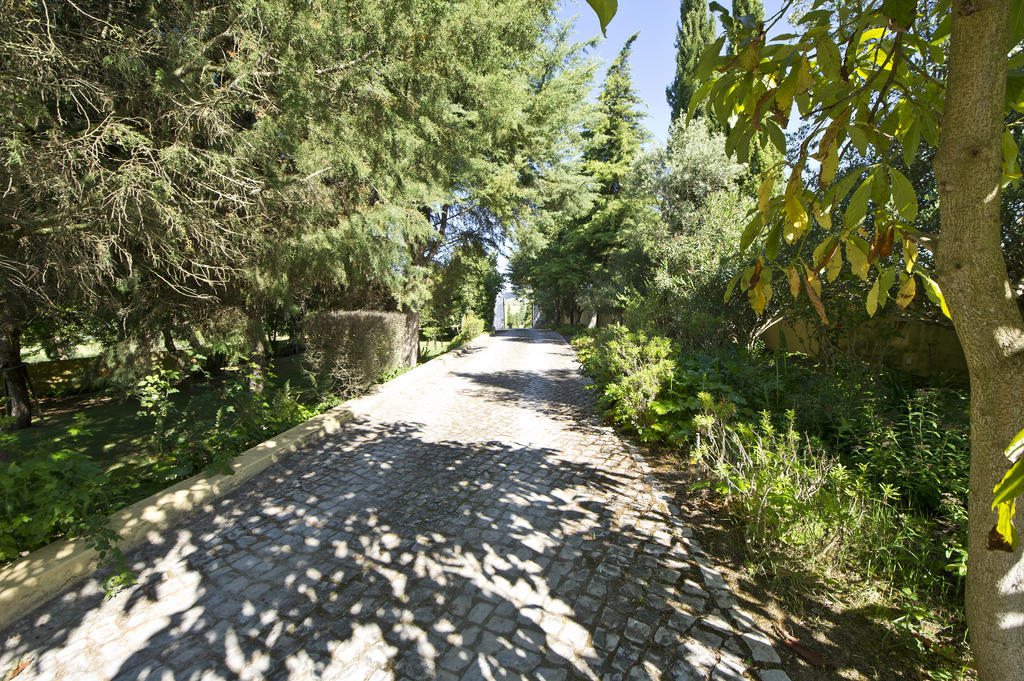 Villa Quinta Da Cabrita Santarém Exterior foto