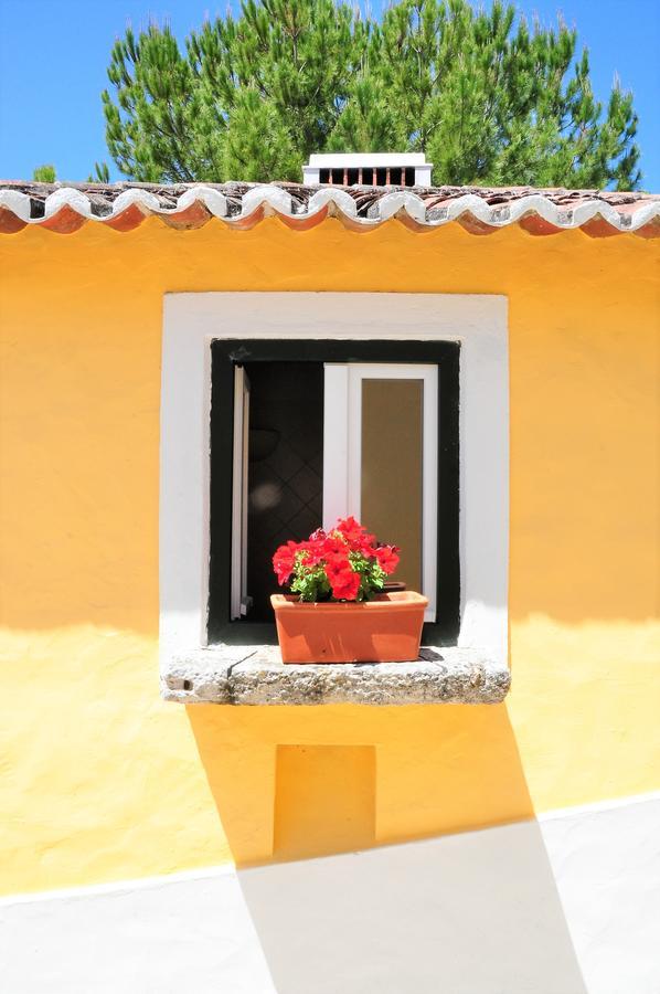 Villa Quinta Da Cabrita Santarém Exterior foto